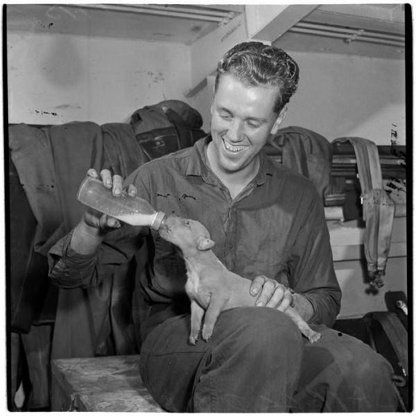 아폴로 8호 승무원들의 크리스마스 메뉴 外 | 인스티즈