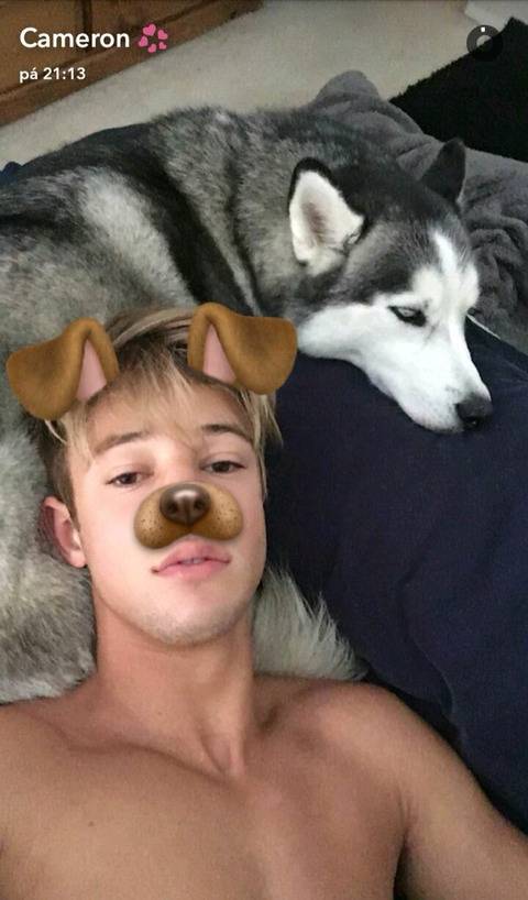 행복해보이는 강아지들 | 인스티즈