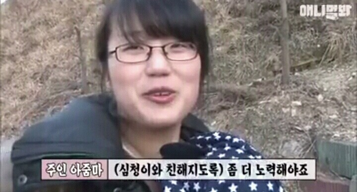 여자보면 쓰러지는 개 이야기 | 인스티즈