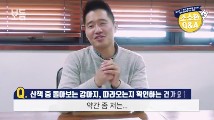 산책 중에 강아지가 뒤돌아보는 이유 | 인스티즈