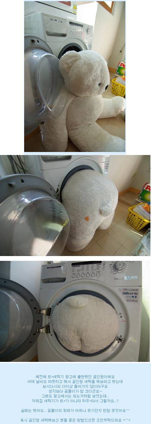 곰돌이 세탁 | 인스티즈