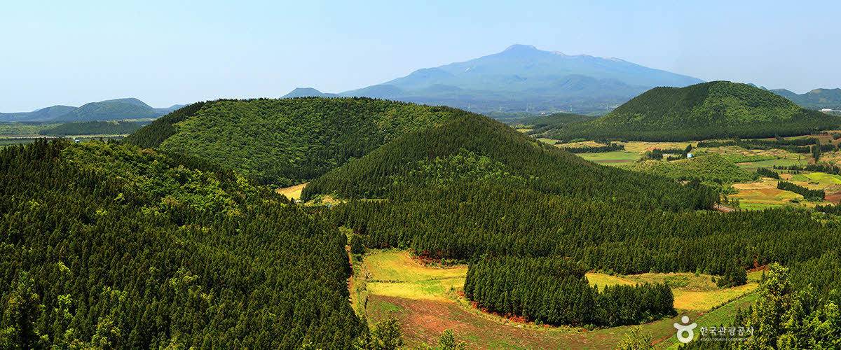 한국인이 꼭 가봐야 할 한국관광 100선 | 인스티즈