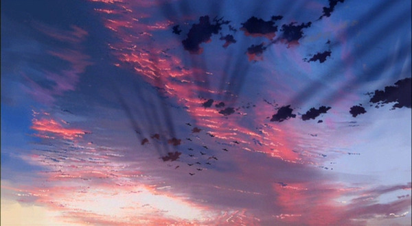 작화 예쁘기로 유명한 신카이 마코토 작품 (데이터주의) | 인스티즈