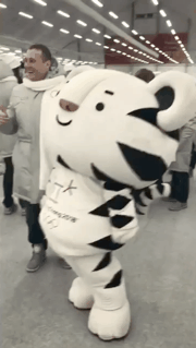 끼부리는 수호랑 .gif | 인스티즈