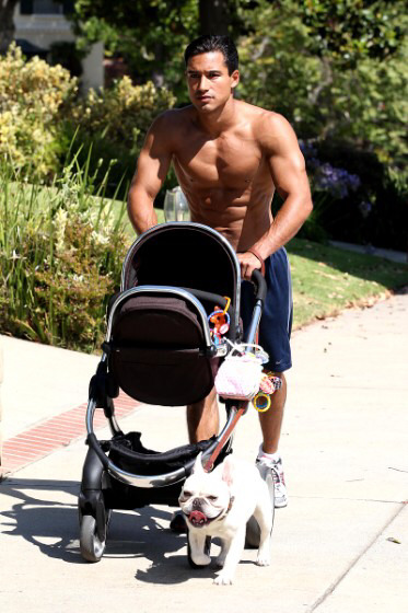 행복해보이는 강아지들 | 인스티즈