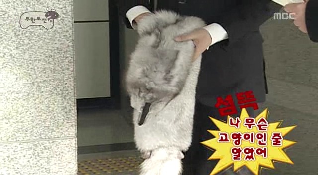 [무한도전] 박명수 전설의 여우목도맄ㅋㅋㅋㅋㅋㅋㅋㅋㅋㅋㅋ | 인스티즈