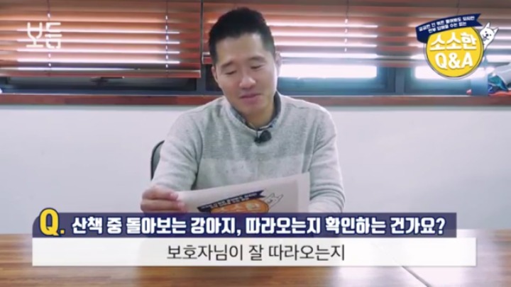 산책 중에 강아지가 뒤돌아보는 이유 | 인스티즈