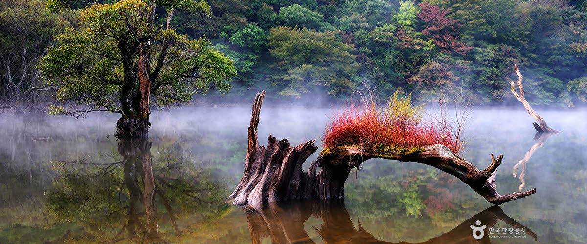 한국인이 꼭 가봐야 할 한국관광 100선 | 인스티즈