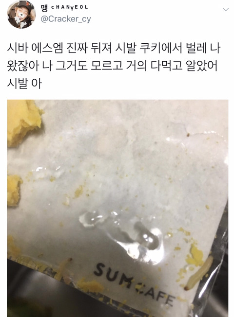 SM엔터테인먼트 sum카페 쿠키에서 발견된 벌레 | 인스티즈