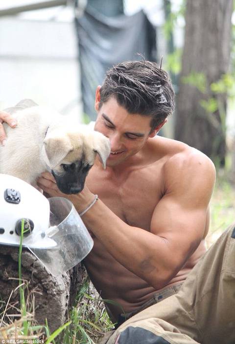 행복해보이는 강아지들 | 인스티즈