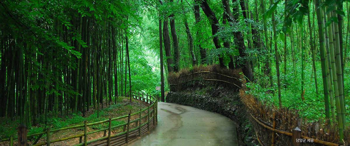 한국인이 꼭 가봐야 할 한국관광 100선 | 인스티즈