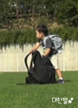 삼둥이로 알아보는 자기 취향ㅋㅋ | 인스티즈