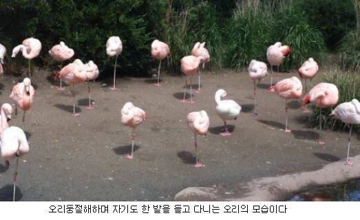 군중심리의 무서움 | 인스티즈