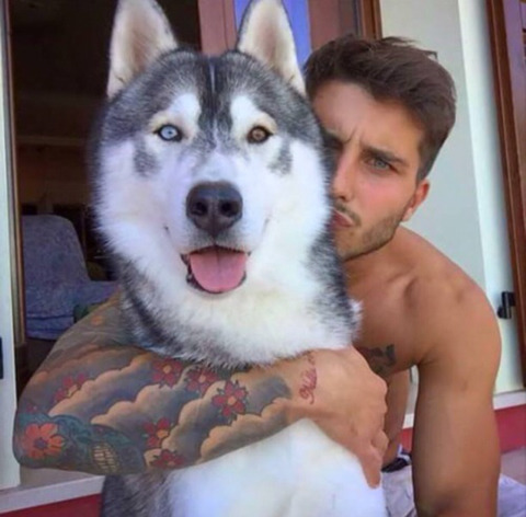 행복해보이는 강아지들 | 인스티즈