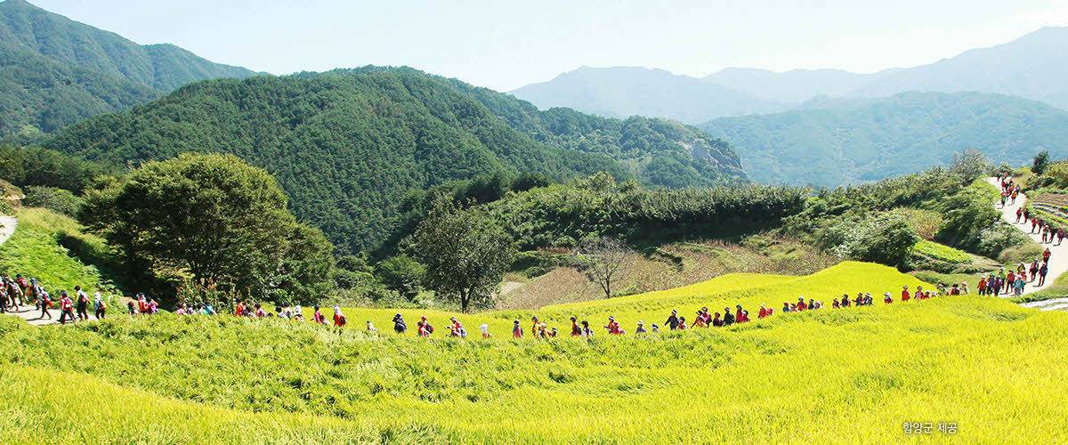 한국인이 꼭 가봐야 할 한국관광 100선 | 인스티즈