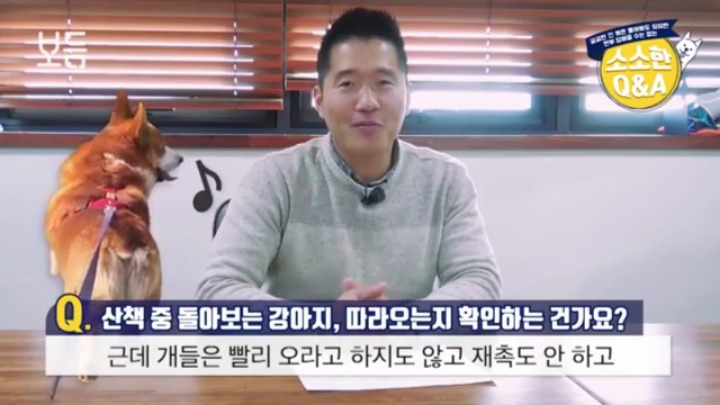 산책 중에 강아지가 뒤돌아보는 이유 | 인스티즈