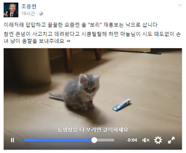 냥집사들 &#128049; (사진 엄청많음 주의) | 인스티즈
