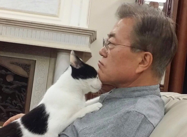 냥집사들 &#128049; (사진 엄청많음 주의) | 인스티즈