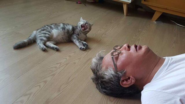 냥집사들 &#128049; (사진 엄청많음 주의) | 인스티즈