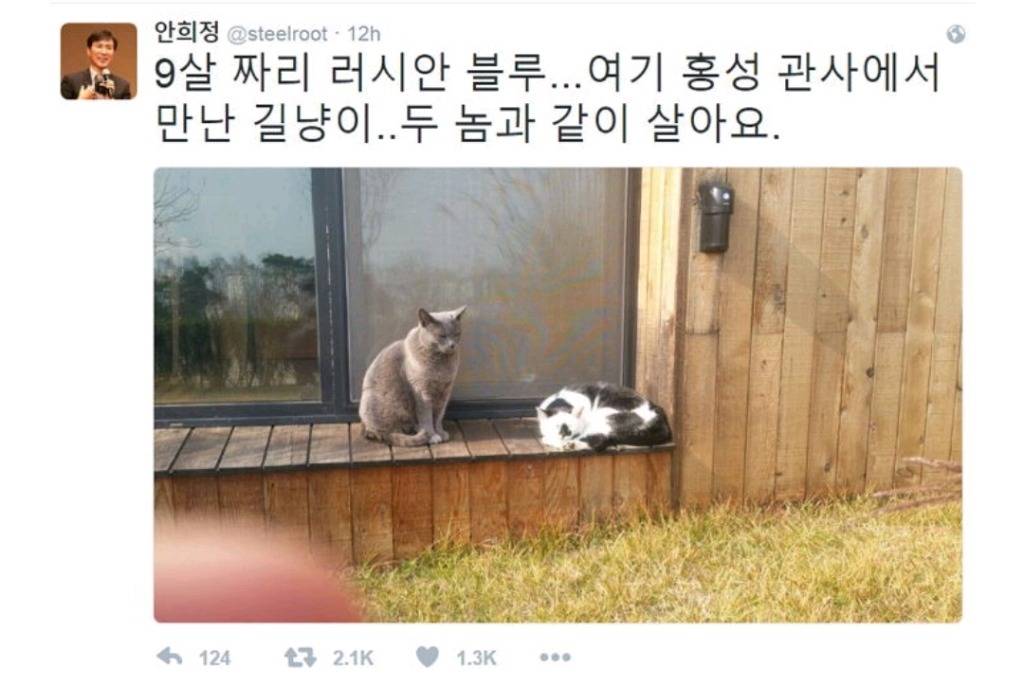 냥집사들 &#128049; (사진 엄청많음 주의) | 인스티즈