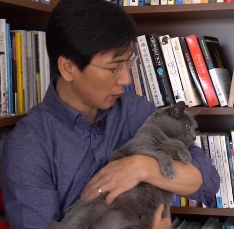 냥집사들 &#128049; (사진 엄청많음 주의) | 인스티즈