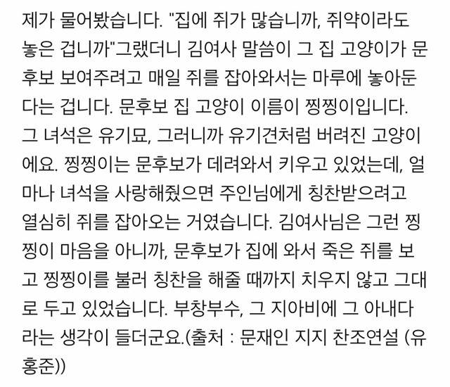 냥집사들 &#128049; (사진 엄청많음 주의) | 인스티즈
