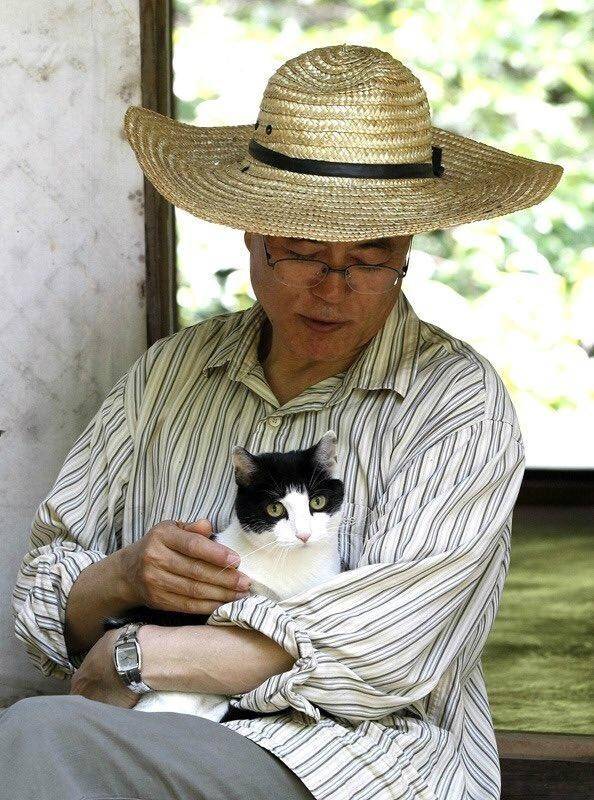 냥집사들 &#128049; (사진 엄청많음 주의) | 인스티즈