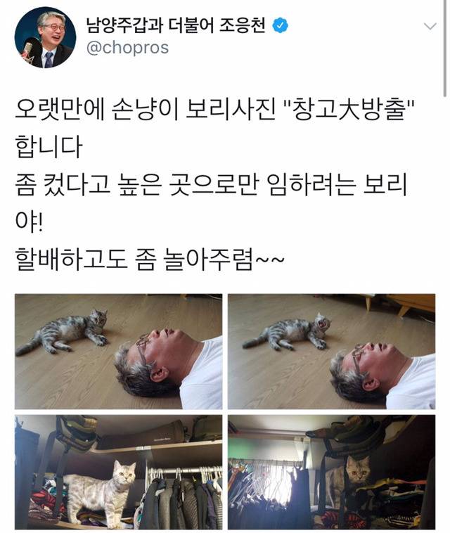 냥집사들 &#128049; (사진 엄청많음 주의) | 인스티즈