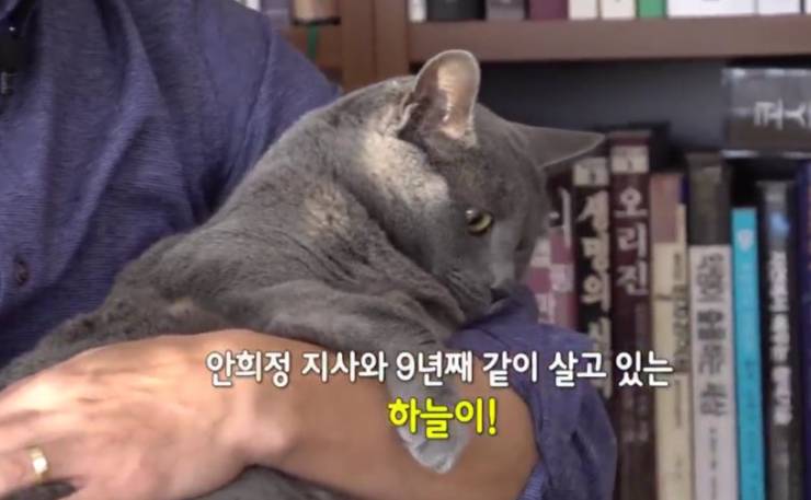 냥집사들 &#128049; (사진 엄청많음 주의) | 인스티즈