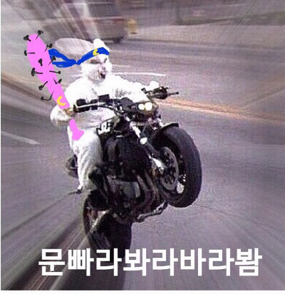 문재인 대통령 지지자들 대선 전 후 차이.twt | 인스티즈