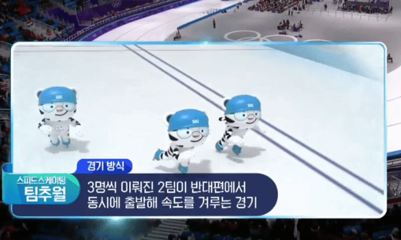 팀추월하는 수호랑 .gif | 인스티즈