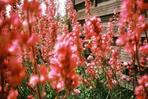  사랑은 매일 걷는 길가에 있다 | 인스티즈