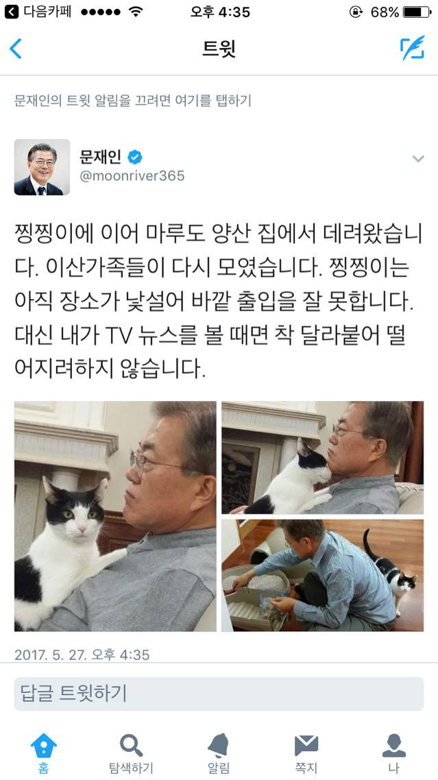 냥집사들 &#128049; (사진 엄청많음 주의) | 인스티즈