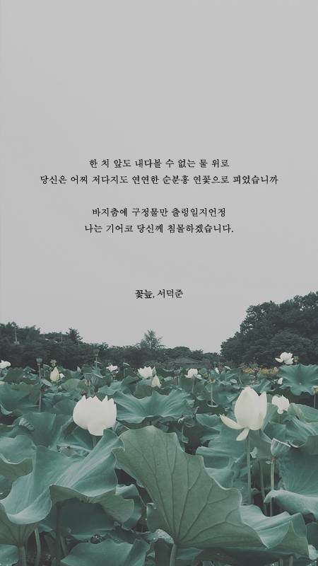 서덕준 시 모음 1 | 인스티즈