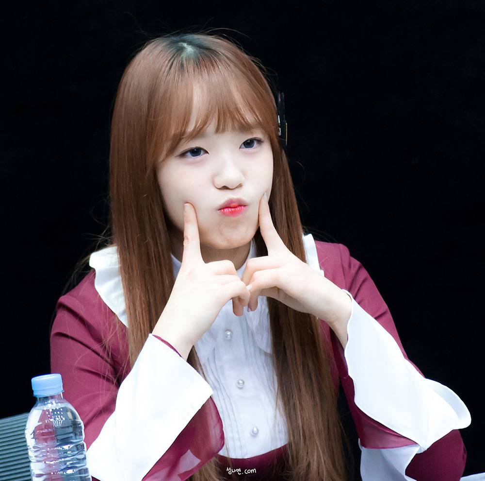 에이프릴 레이첼 | 인스티즈