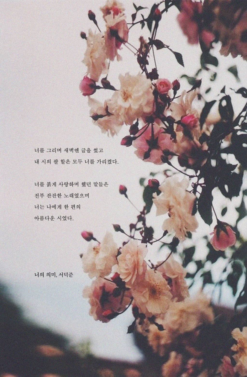 서덕준 시 모음 1 | 인스티즈