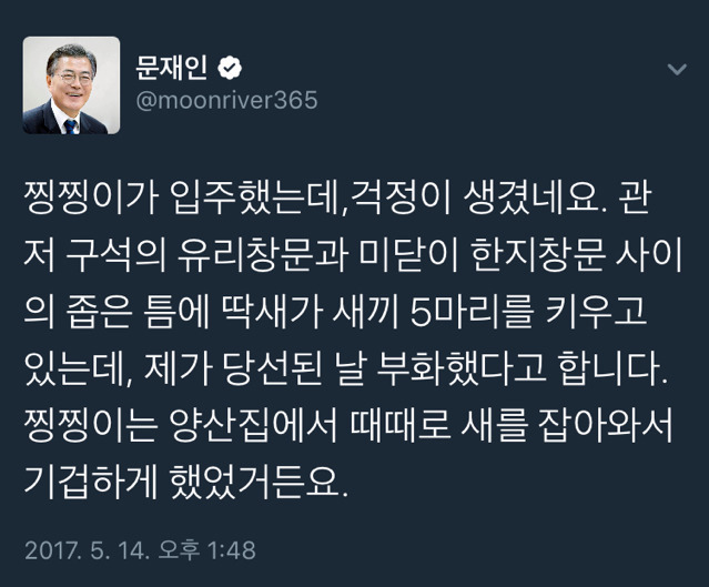 냥집사들 &#128049; (사진 엄청많음 주의) | 인스티즈