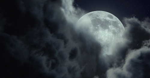 스페인에서 태어난 캐나다 작가가 일본 선박에 있던 인도인을 주인공으로 쓴 소설을 대만 출신 감독이 미국 자본을 받아 촬영한 영화 | 인스티즈