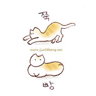 [원나잇푸드트립] 살뺀게 대단한 박보람 먹성...jpg (feat.허영지) | 인스티즈