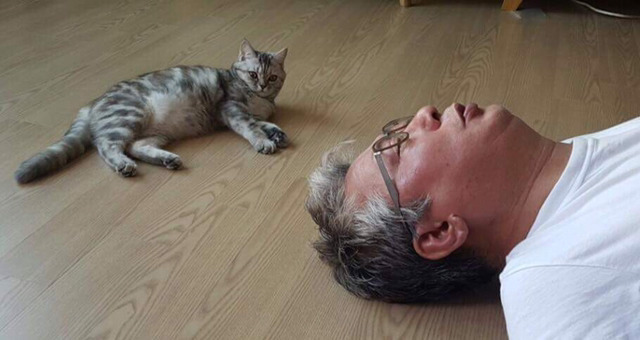 냥집사들 &#128049; (사진 엄청많음 주의) | 인스티즈