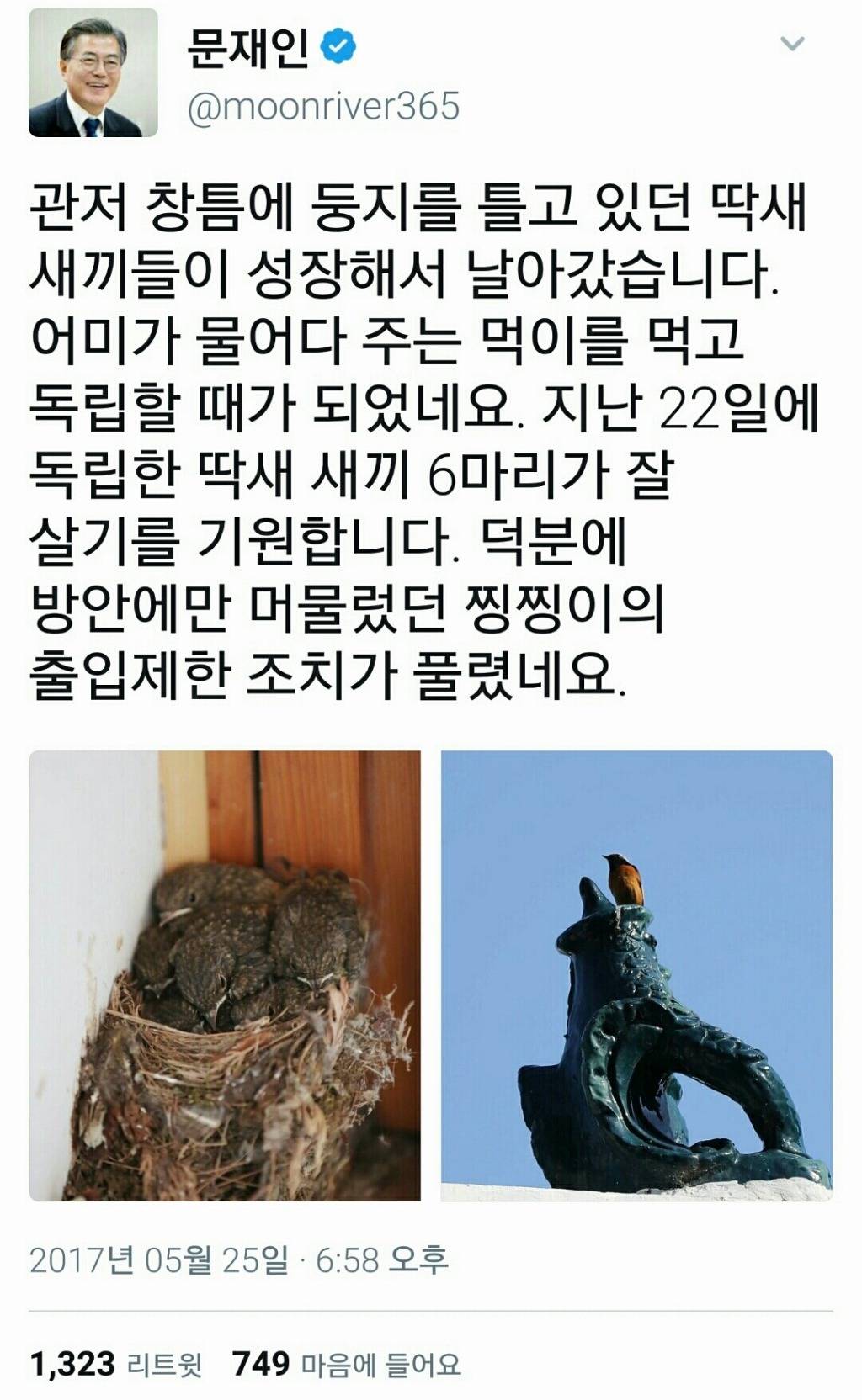 냥집사들 &#128049; (사진 엄청많음 주의) | 인스티즈
