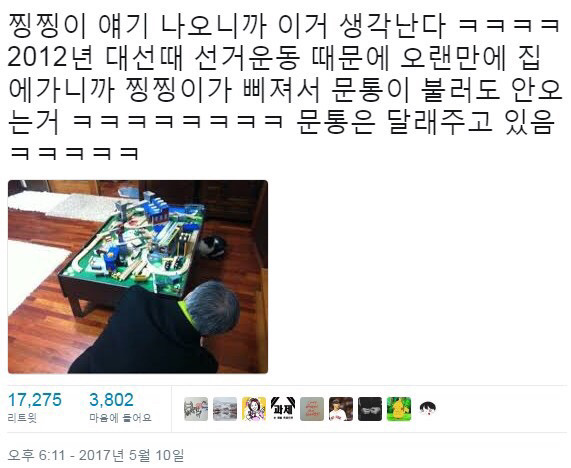 냥집사들 &#128049; (사진 엄청많음 주의) | 인스티즈