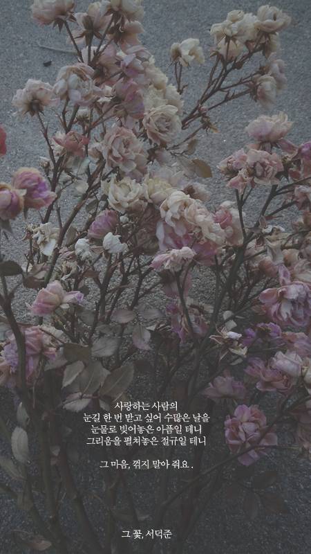 서덕준 시 모음 1 | 인스티즈