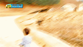 [아빠어디가] 동물이란 동물은 다 좋아하는 것 같은 민율이ㅋㅋ (아기♥동물=힐링) | 인스티즈