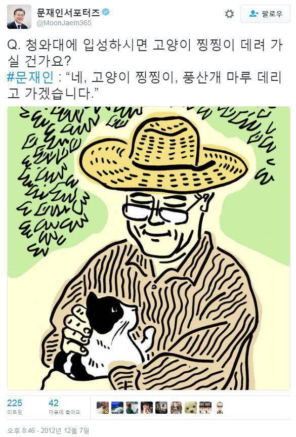 냥집사들 &#128049; (사진 엄청많음 주의) | 인스티즈