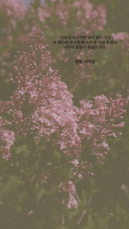 서덕준 시 모음 1 | 인스티즈