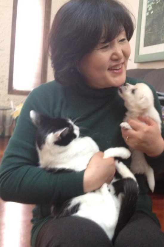 냥집사들 &#128049; (사진 엄청많음 주의) | 인스티즈