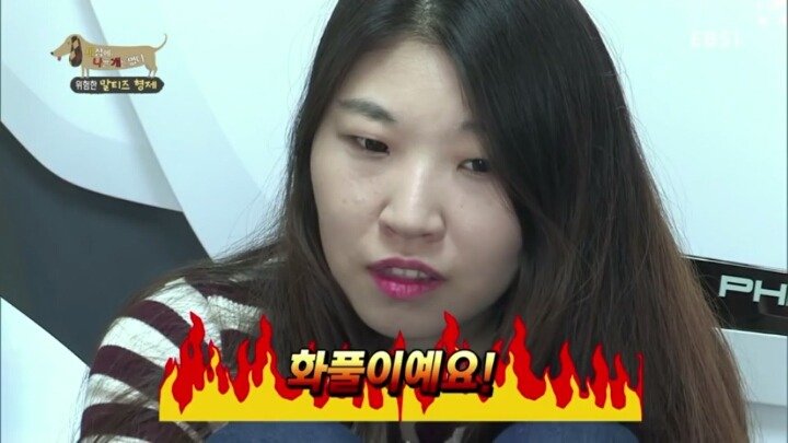 [세나개] 공격적인 반려견이 되는 이유 1부.jpg | 인스티즈