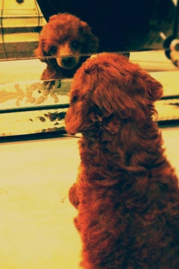 SS501 김형준에 이은 2AM 임슬옹ver 개사기 | 인스티즈