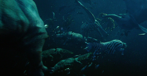 스페인에서 태어난 캐나다 작가가 일본 선박에 있던 인도인을 주인공으로 쓴 소설을 대만 출신 감독이 미국 자본을 받아 촬영한 영화 | 인스티즈